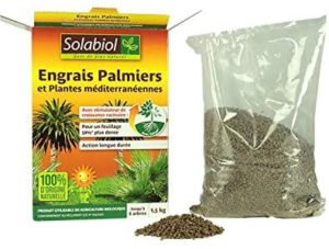 Vue d'ensemble Engrais palmiers et plantes méditerranéennes Solabiol sopalmy15